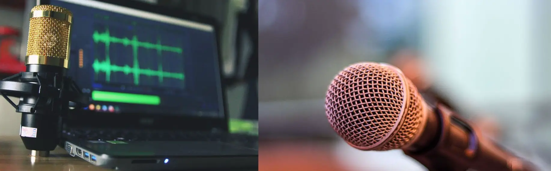 condenser and dynamic microphones